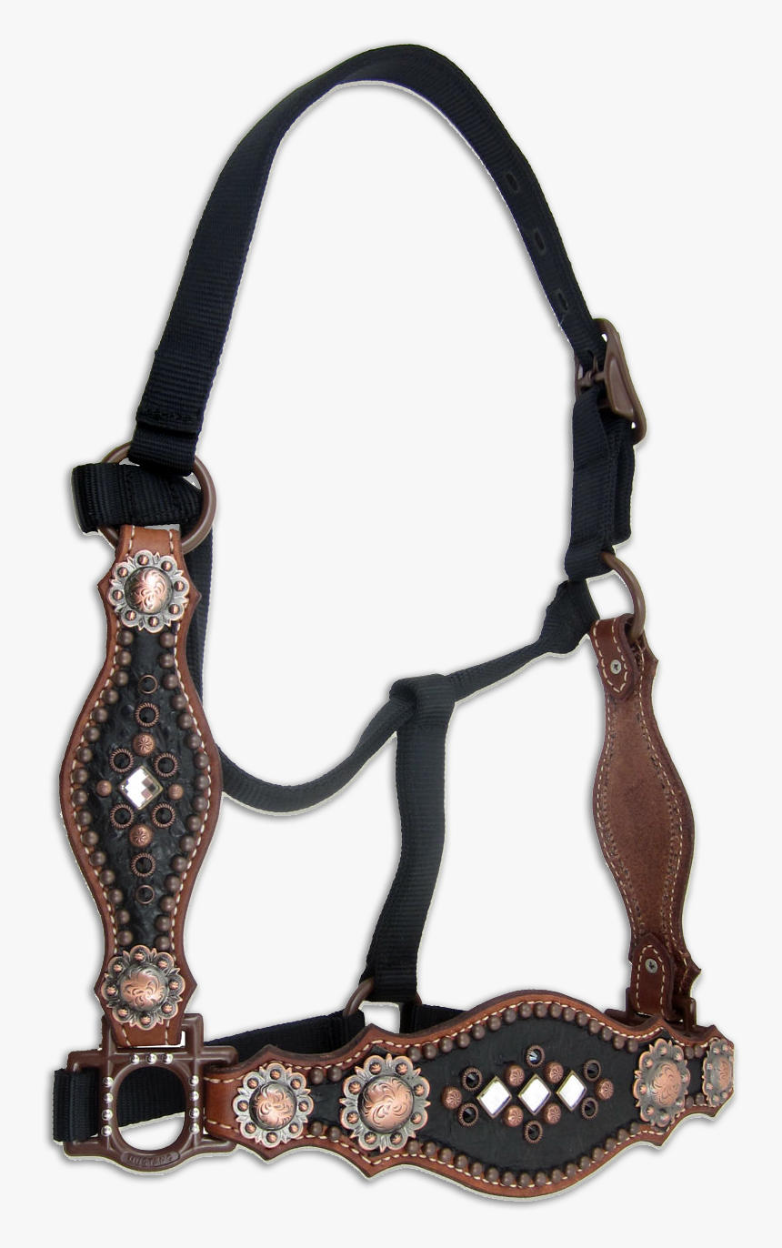 Bridle, HD Png Download