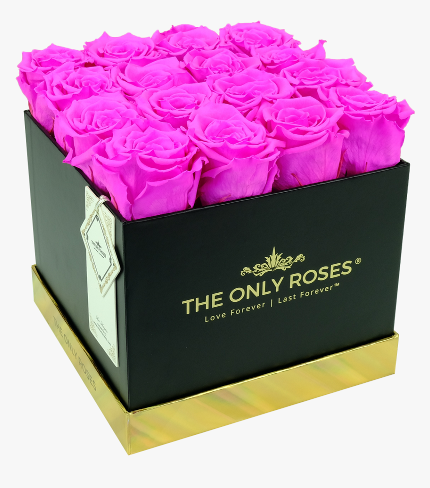 Rose, HD Png Download