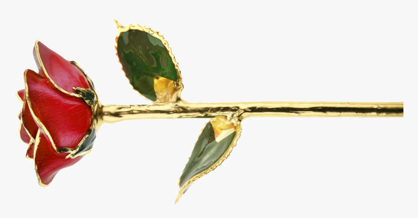 Twig, HD Png Download