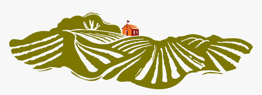 Transparent Wine Clipart Png - Vineyards Illustration, Png Download