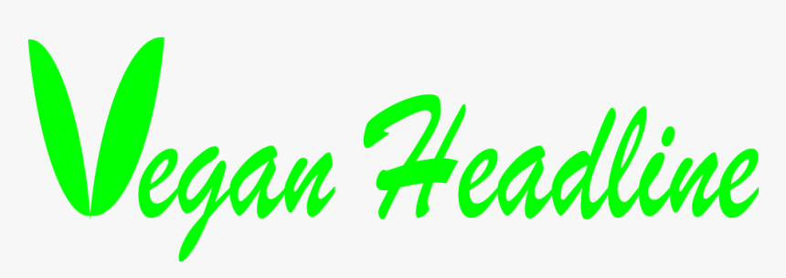 Img, HD Png Download