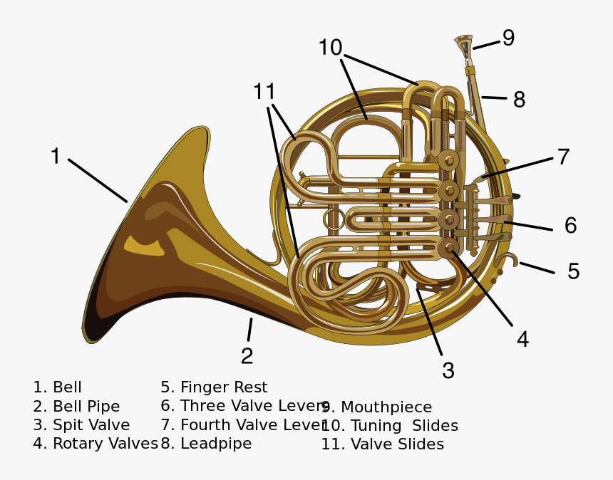 File - Carynprice-french Horn - Svg - Alat Musik Modern - Parts Of A Double French Horn, HD Png Download