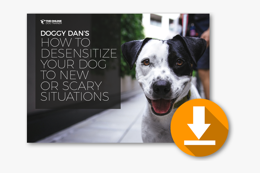 Dog Breeds With Button Ears, HD Png Download