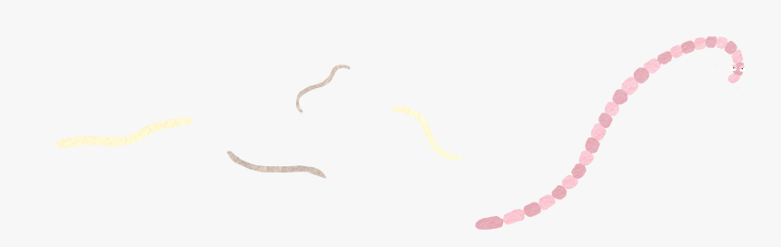 Roundworms - Insect - 西園 弖虎, HD Png Download