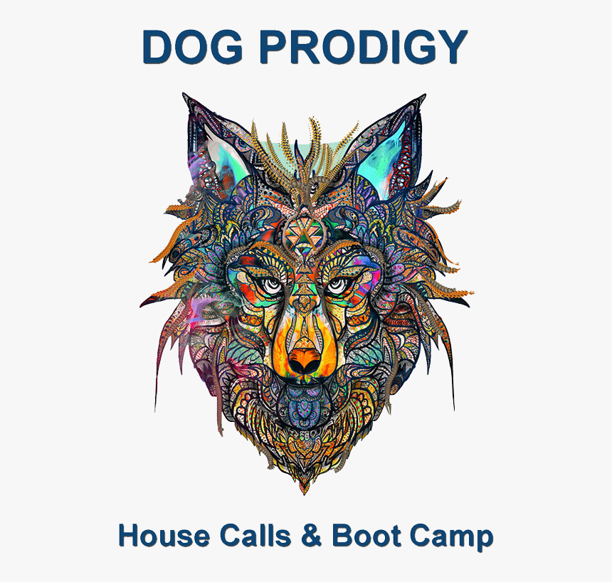 Artist, HD Png Download