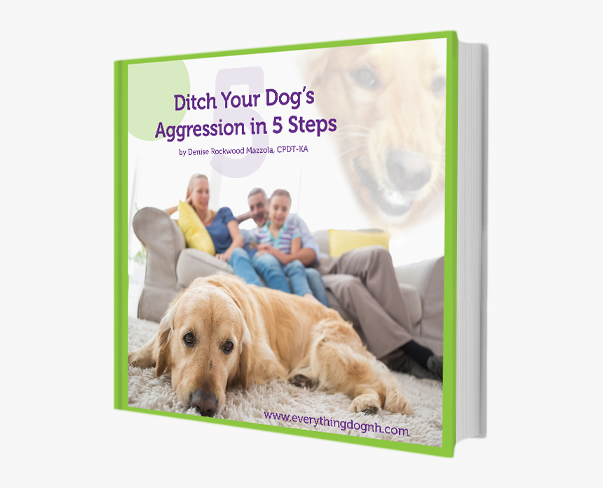 Ditch Your Dog S Aggression - Gassy Dog, HD Png Download