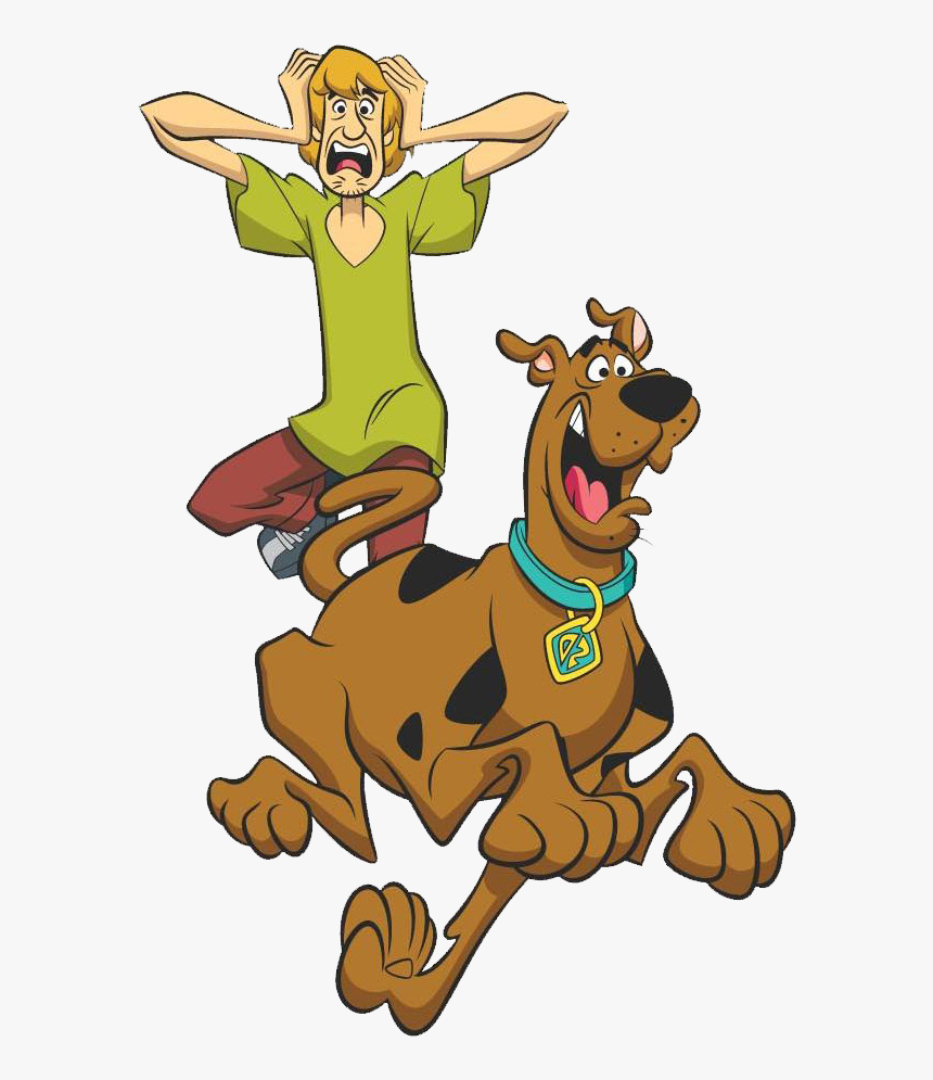 Shaggy Rogers Png Free Pic - What's Your Favorite Cartoon, Transparent Png