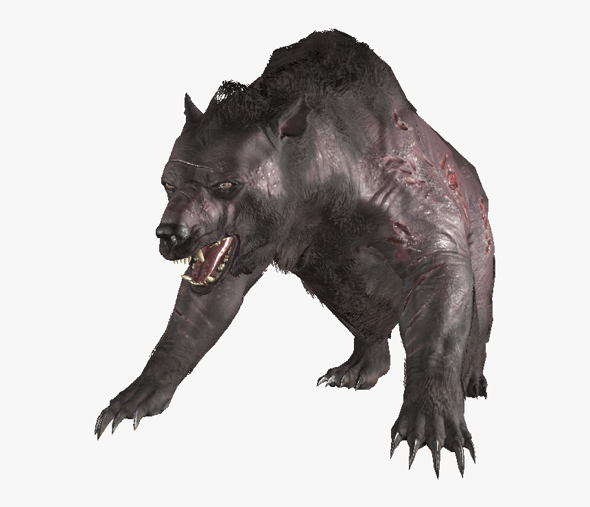 Encyaoguai02 - You Guai Fallout 76, HD Png Download