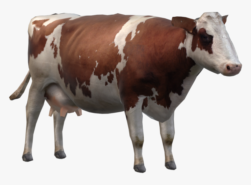 Dairy Cow, HD Png Download