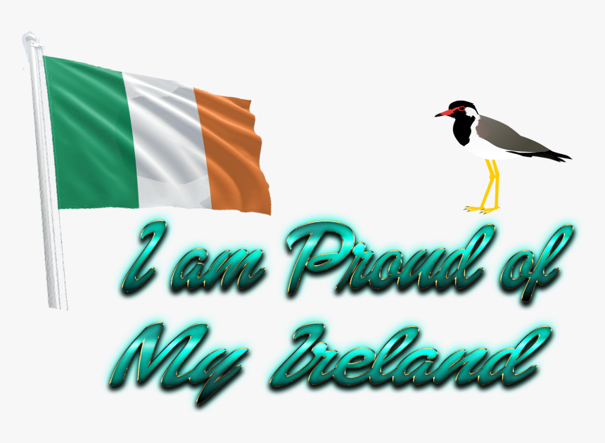 Ireland Flag Png - Seabird, Transparent Png