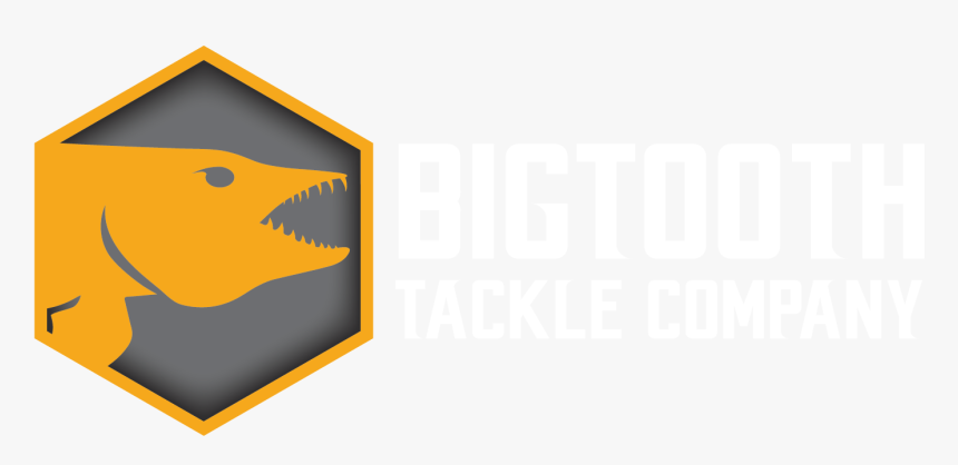 Shark, HD Png Download