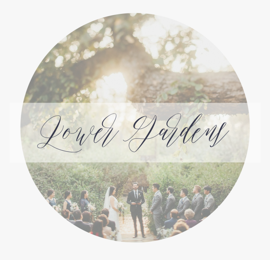 10 - Circle, HD Png Download