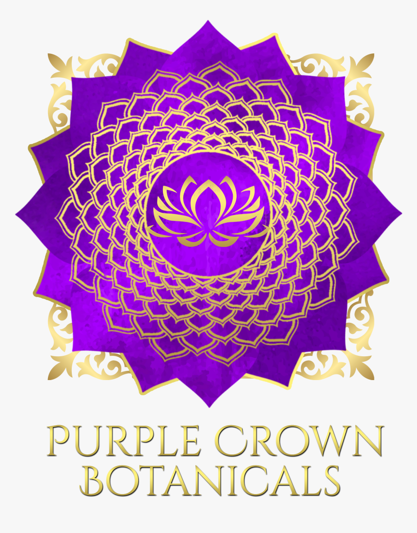 Latin Lawyer 250, HD Png Download