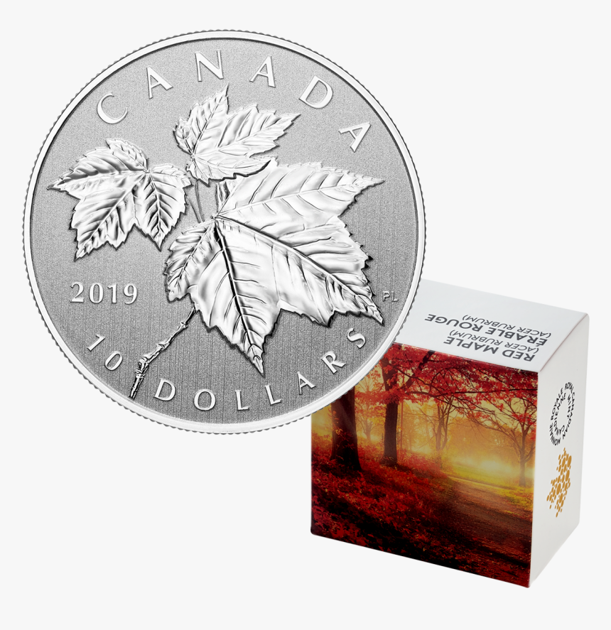 2019 1/2 Oz Canada Maple Leaf - Canadian Quarters Maple Leafs, HD Png Download