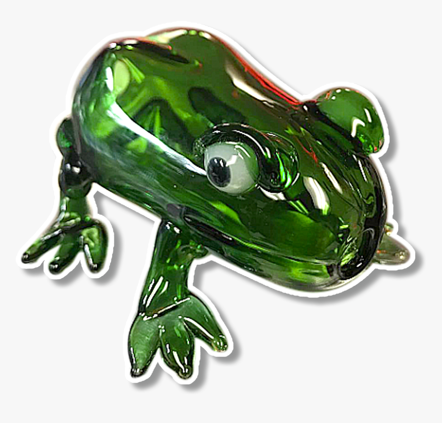 Frog - Toad, HD Png Download