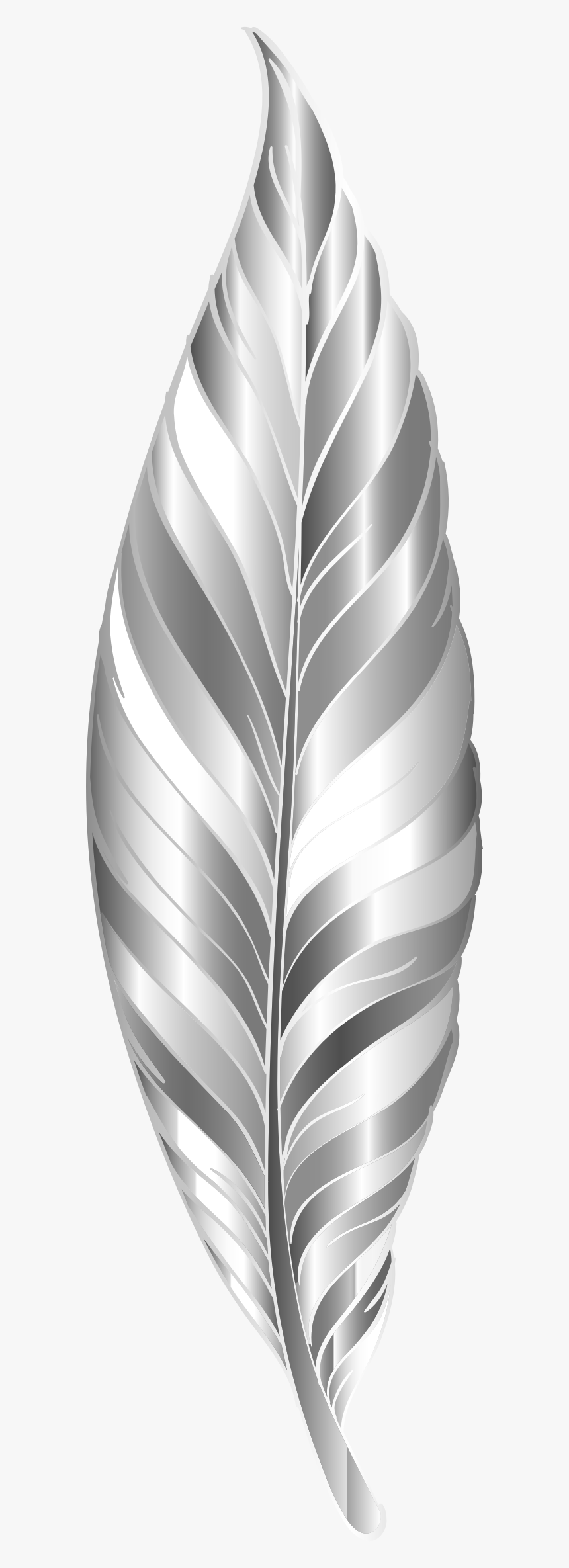 #feather #leaf #metallic #colourful ##decoration #icon - Silver Feather Png, Transparent Png