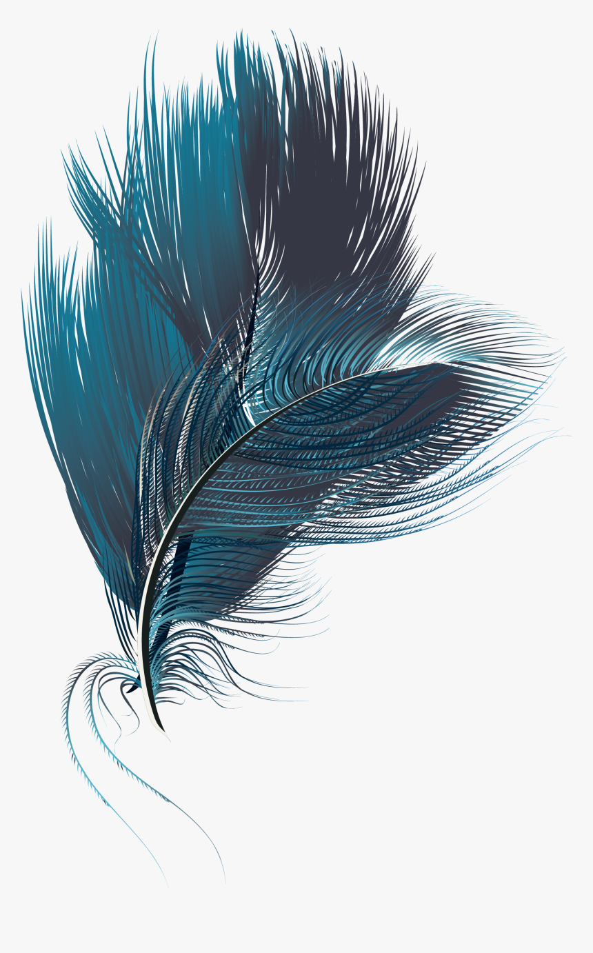 Feather Computer File - Illustration, HD Png Download