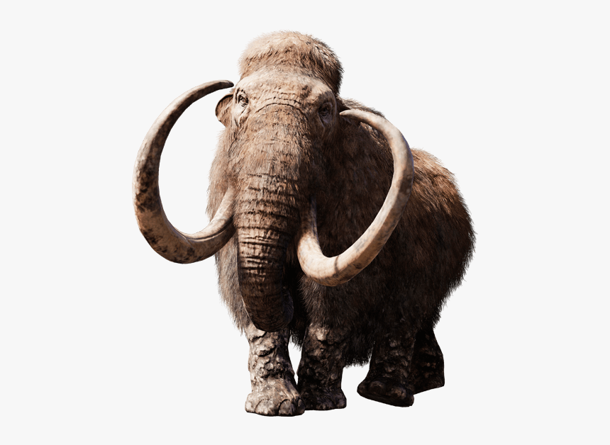Mammoth Png Page - Far Cry 4 Rhino Elephant, Transparent Png