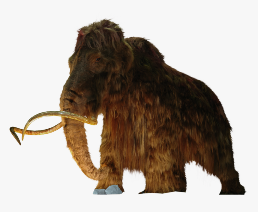 Venturian Battle Headquarters - Woolly Mammoth Clear Background, HD Png Download