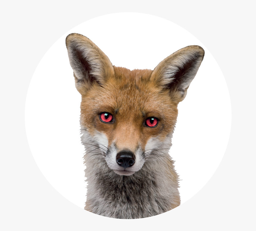 Devil Eyes Png , Png Download - Fox Head Png, Transparent Png