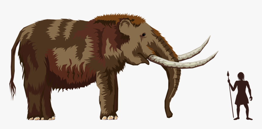 Mammoth Clipart, HD Png Download