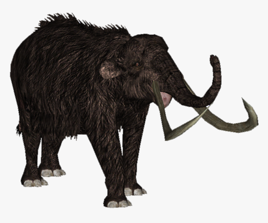 Transparent Mammoth Png - Zoo Tycoon Woolly Mammoth, Png Download