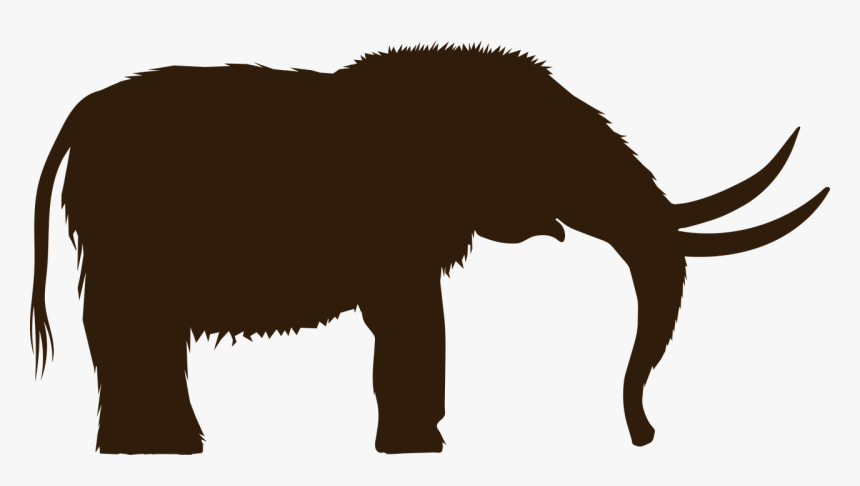 Woolly Mammoth Clip Art, HD Png Download