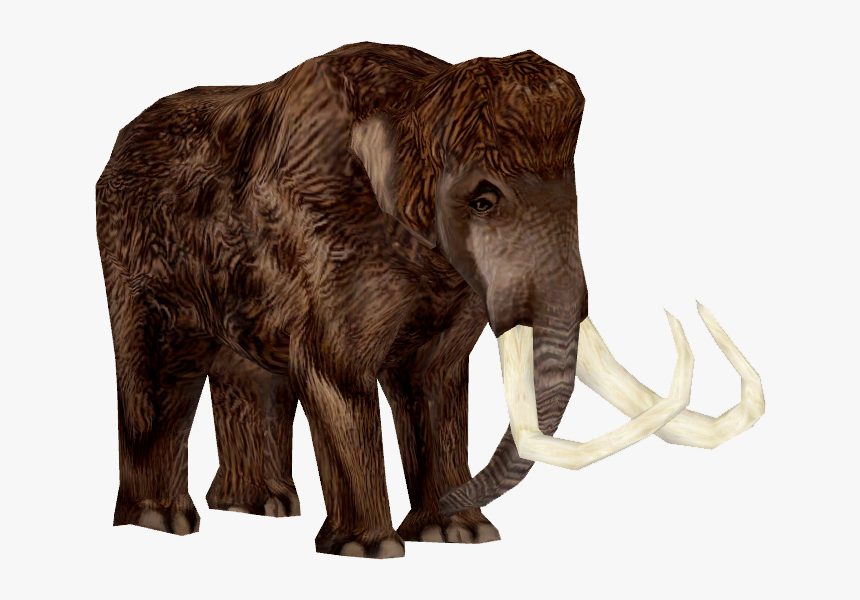 Woolly Mammoth Adult - Mammoth Transparent, HD Png Download