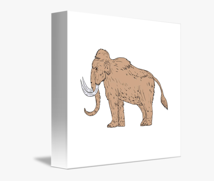 Indian Elephant, HD Png Download