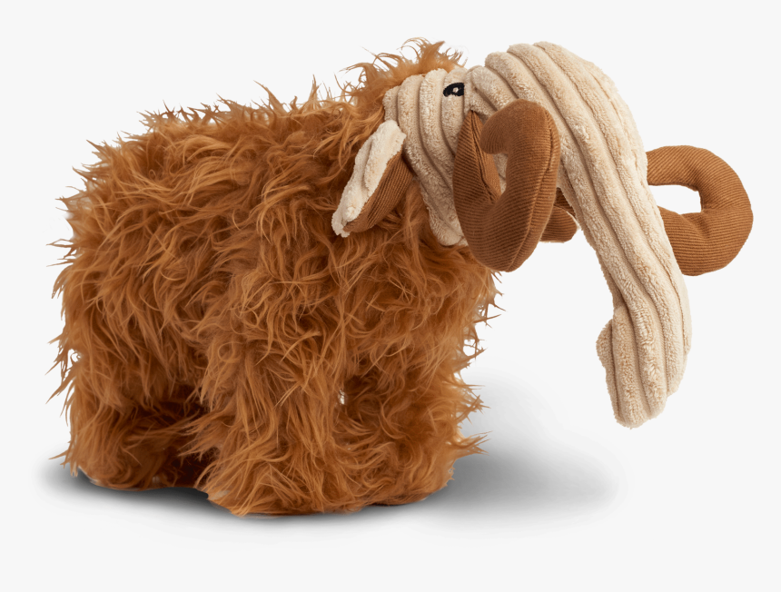 Feral Goat, HD Png Download