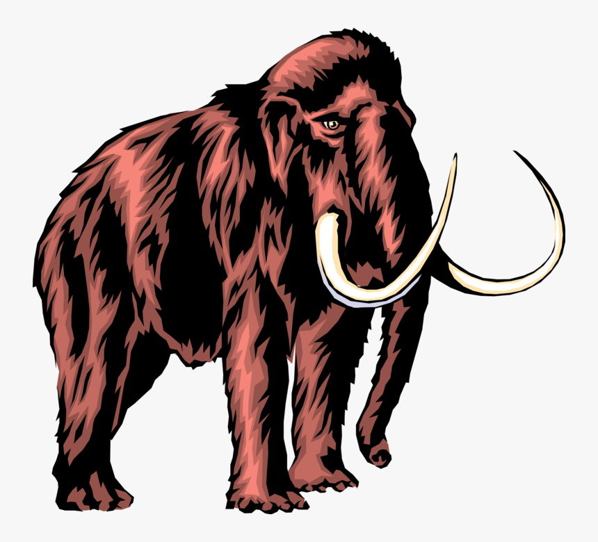 Vector Illustration Of Prehistoric Woolly Mammoth With - Mammoth With No Background, HD Png Download