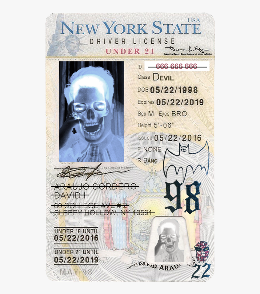 Bone, HD Png Download