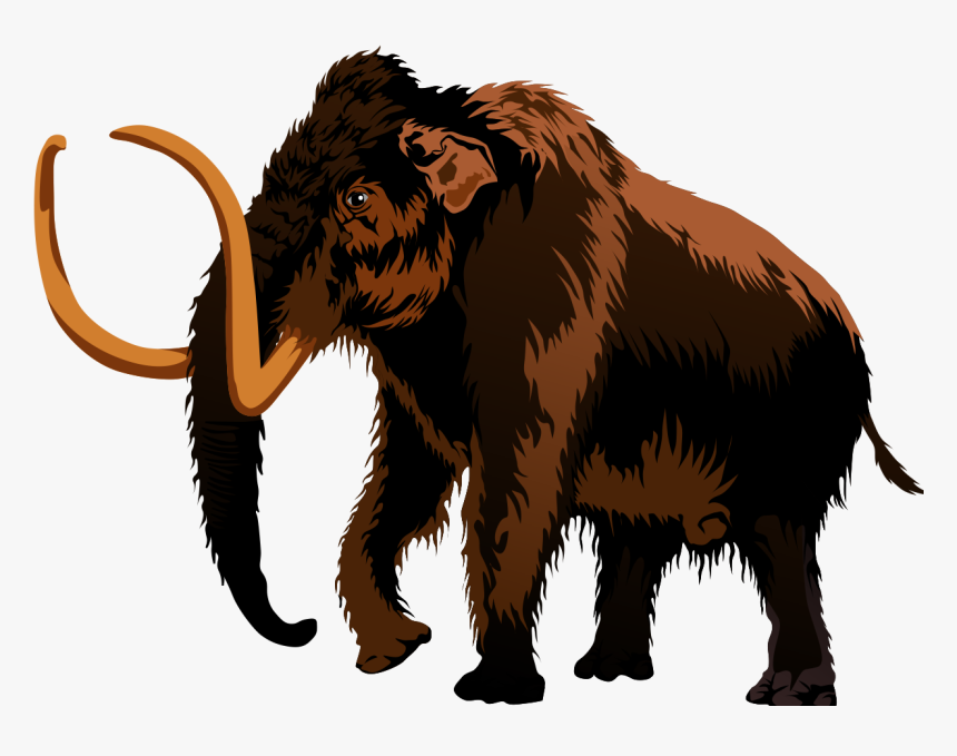 Mammoth Clip Art & Images - Mammoth, HD Png Download