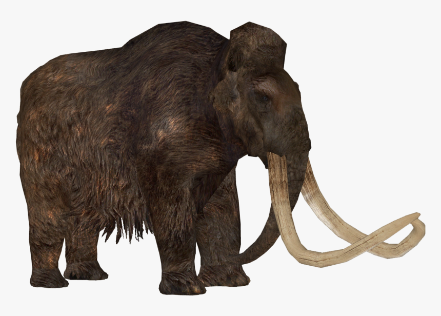 Zoo Tycoon 2 Stegodon, HD Png Download