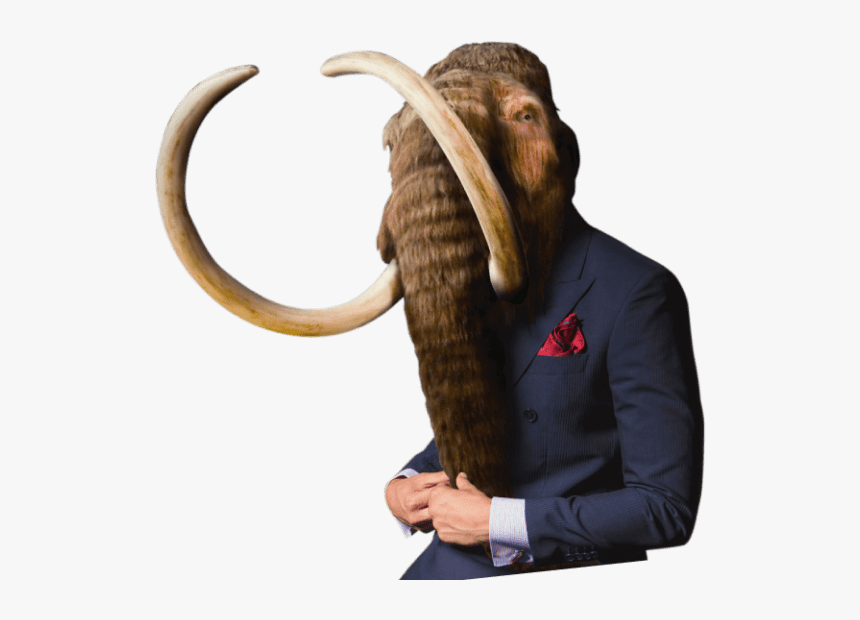 Stone Age Mammoth, HD Png Download