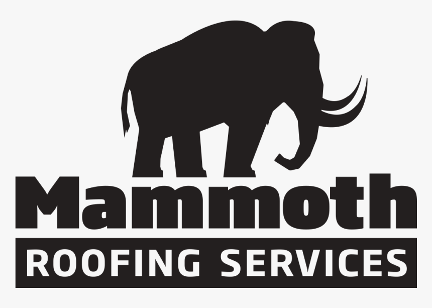 Espn Radio - Indian Elephant, HD Png Download