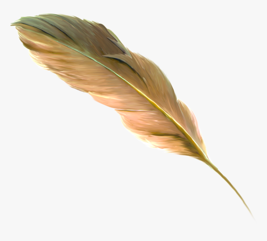 The Floating Feather Brown - Png Transparent Feather Drawing Golden, Png Download
