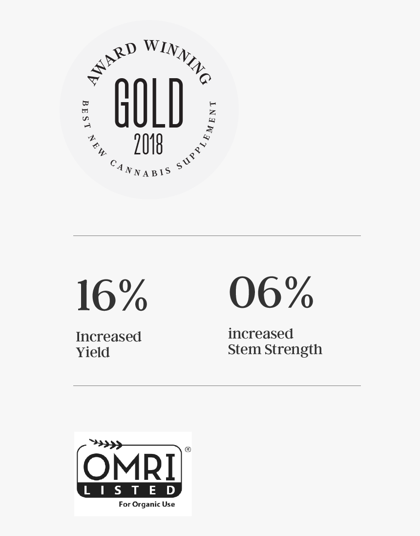 Omri, HD Png Download , Transparent Png Image - PNGitem