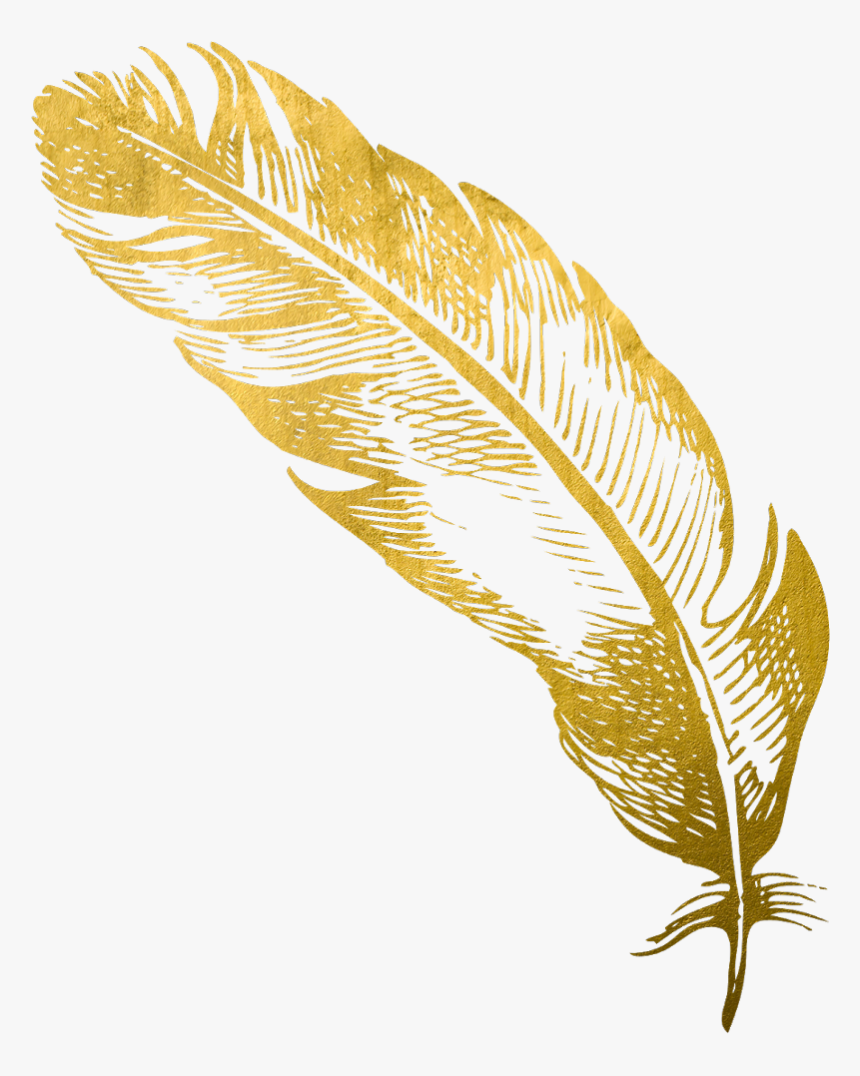 gold feather feathers native boho pretty decals Golden Feather