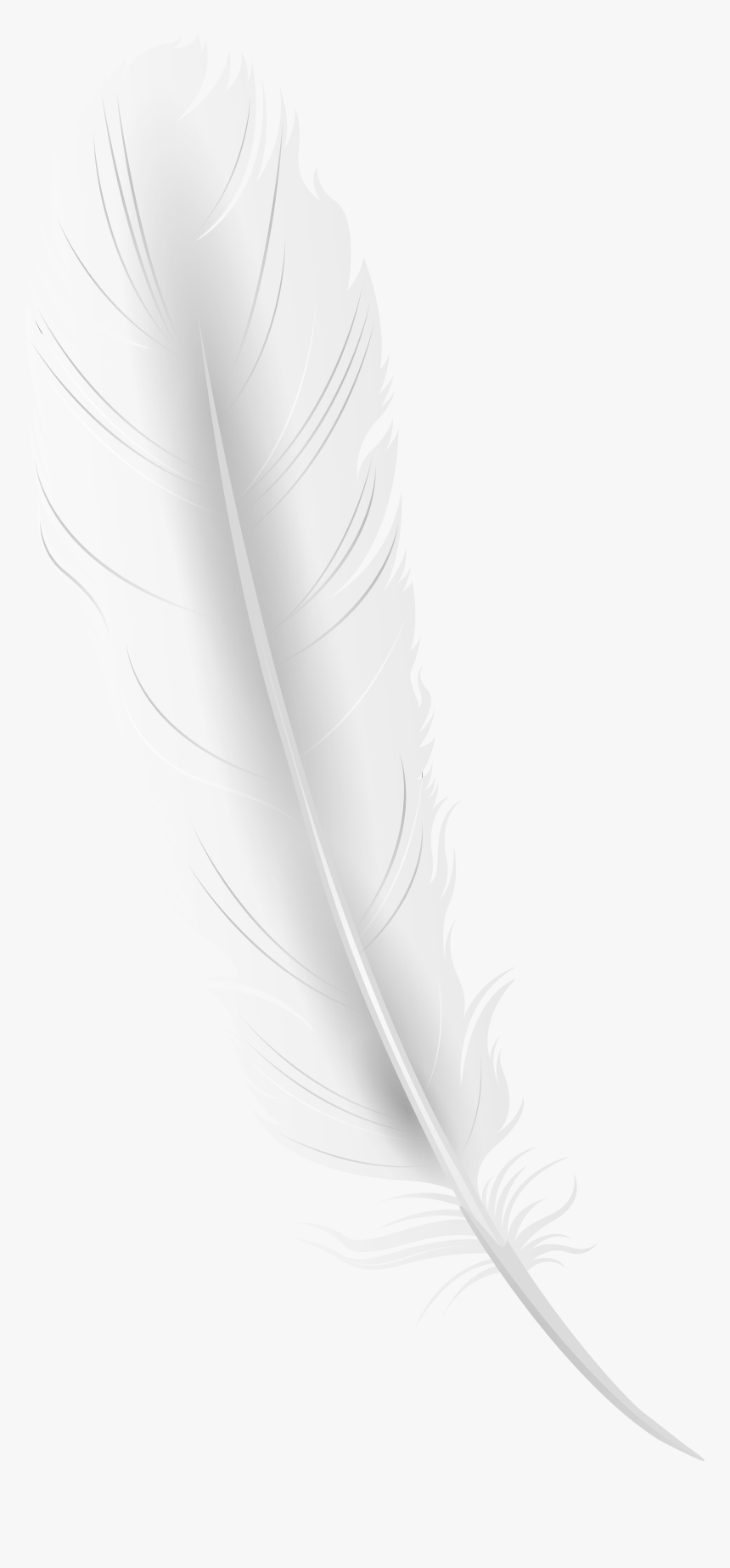 Feathers Clipart Rose Gold - White Feather Png Transparent, Png Download