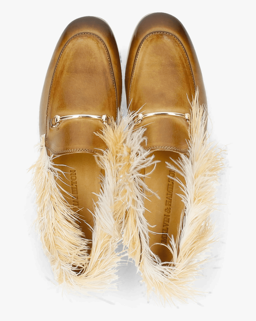 Transparent Gold Feather Png - Oval, Png Download