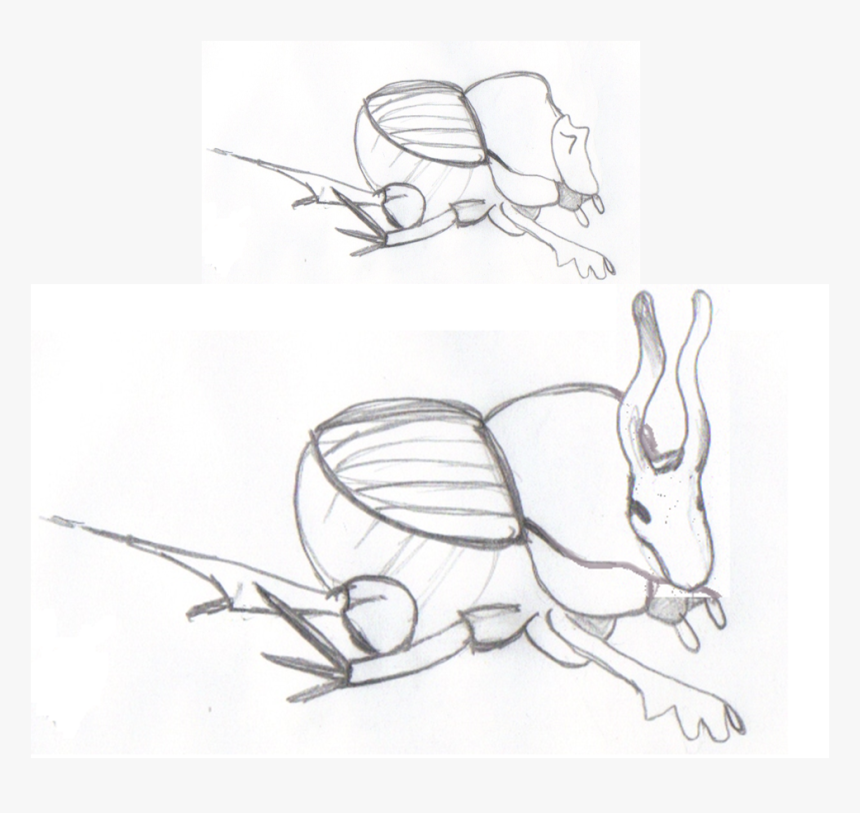 Macho Con Cuernos Y Sin Cuernos De Escarabajo O - Efectos Dependientes De La Nutrición Escarabajos Longitud, HD Png Download