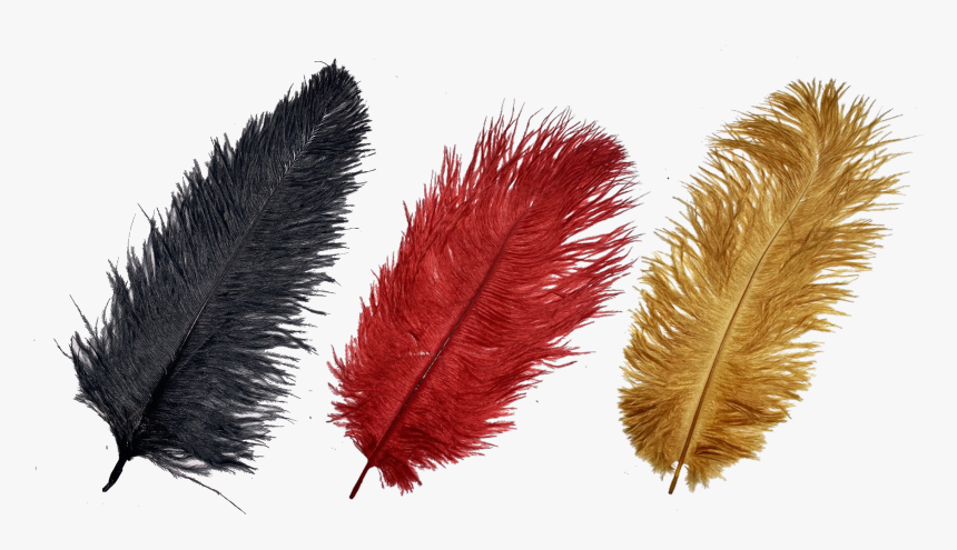 Image Of Autographed Silver Mask Ver - Grass, HD Png Download