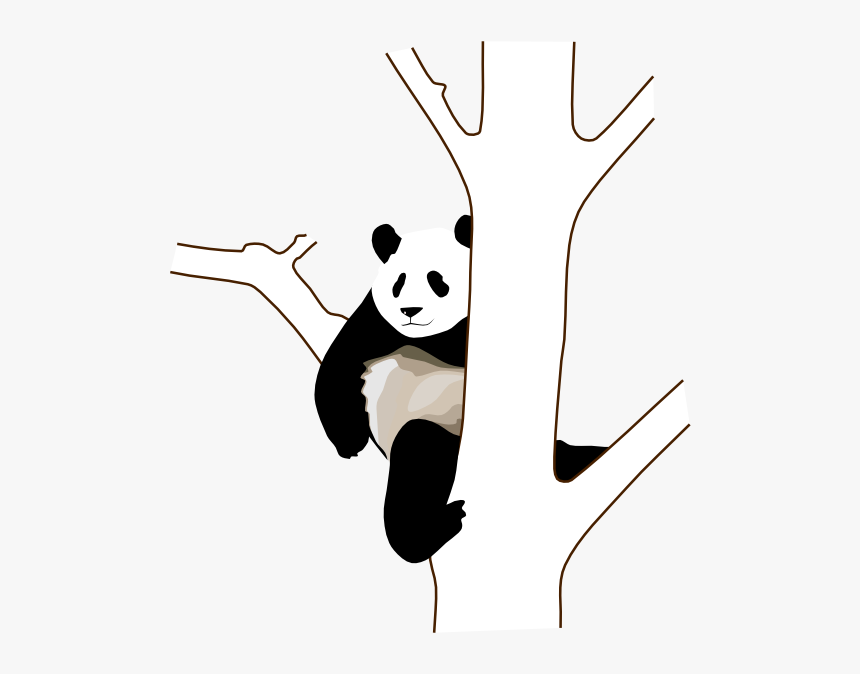 Panda Drawing On Tree, HD Png Download