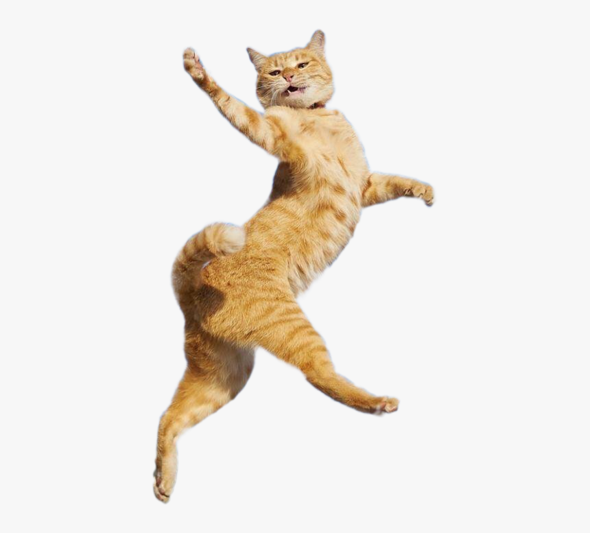 Юмор Доброго Утра, HD Png Download