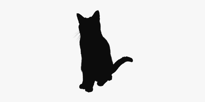 Cat Jumps, HD Png Download