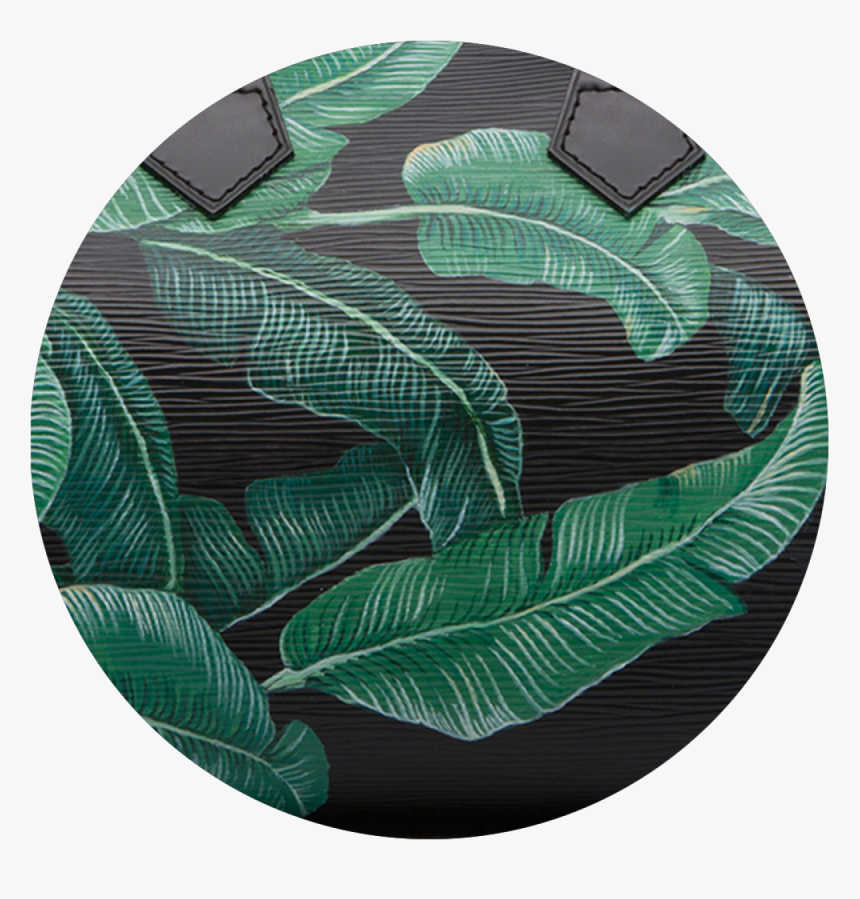 Transparent Banana Leaves Png - Circle, Png Download