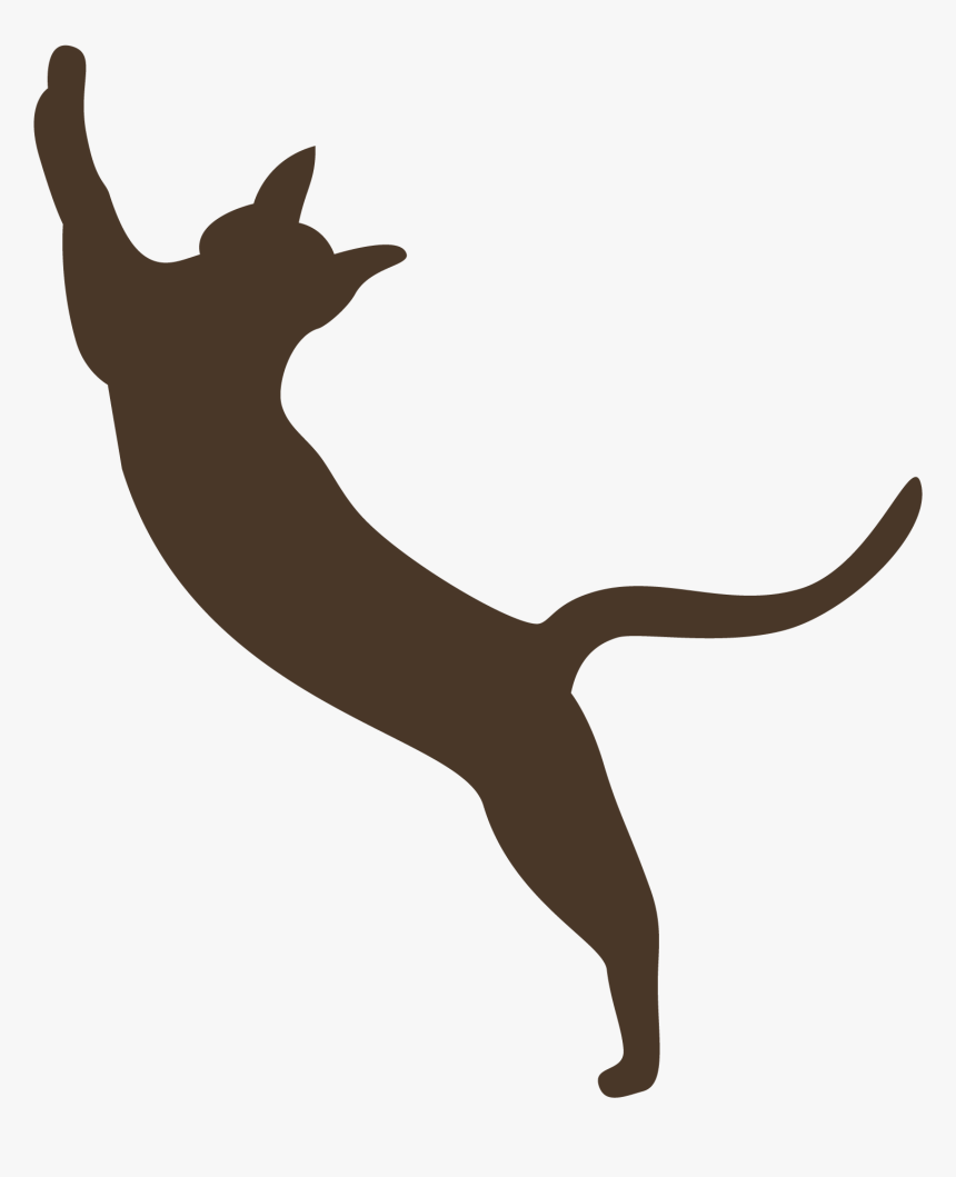 Dog Catches Something, HD Png Download