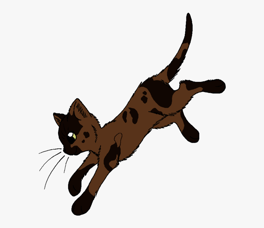 Beetle - Warrior Cats Sparrowfeather, HD Png Download