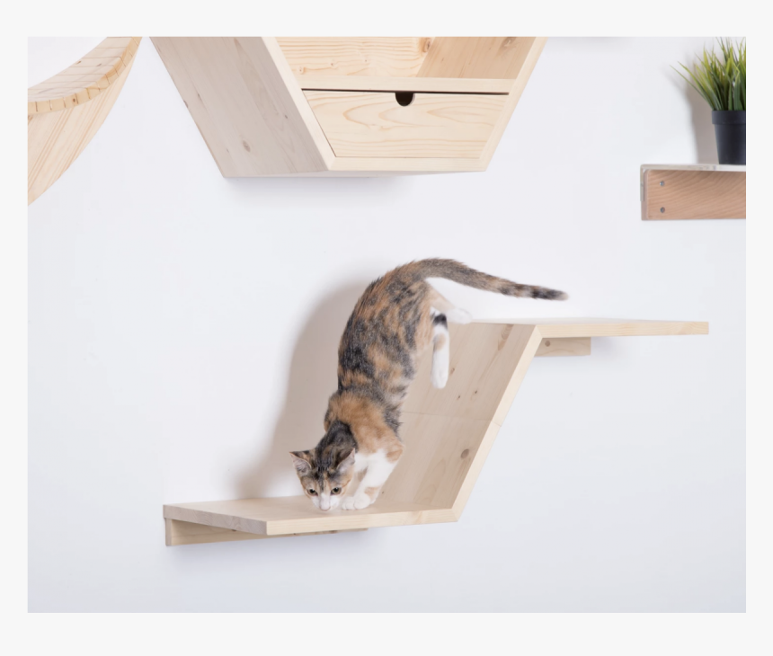 Cat Grabs Treat, HD Png Download